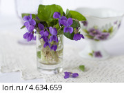 Фиалки в вазе. Стоковое фото, фотограф Альбина Ялунина / Фотобанк Лори