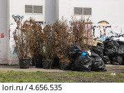 Помойка (2012 год). Стоковое фото, фотограф Алёшина Оксана / Фотобанк Лори
