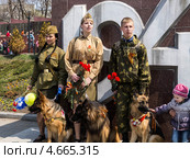 В память о собаках войны (2013 год). Редакционное фото, фотограф Корнилова Светлана / Фотобанк Лори