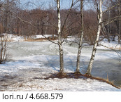 Ранняя весна. Март (2013 год). Стоковое фото, фотограф Самойлова Екатерина / Фотобанк Лори