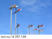 Рыбацкие флюгера в Ниде, Литва (2013 год). Редакционное фото, фотограф Ирина Борсученко / Фотобанк Лори