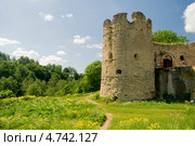 Крепость Копорье. Ленинградская область (2013 год). Стоковое фото, фотограф Александр Щепин / Фотобанк Лори