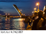 Люди наблюдают развод Троицкого моста с Дворцовой набережной, Санкт-Петербург (2013 год). Редакционное фото, фотограф Кекяляйнен Андрей / Фотобанк Лори