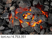 Металлическая подкова разогревается на углях кузнечной печи. Стоковое фото, фотограф Игорь Долгов / Фотобанк Лори