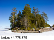Полуостров на озере Пяозеро. Северная Карелия. Стоковое фото, фотограф Наталья Осипова / Фотобанк Лори