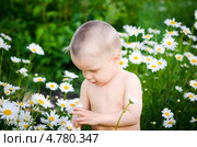 Маленький ребенок среди ромашек. Стоковое фото, фотограф Насыров Руслан / Фотобанк Лори
