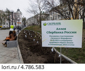 Аллея Сбербанка России (2013 год). Редакционное фото, фотограф Корнилова Светлана / Фотобанк Лори