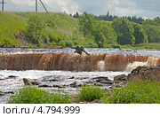Съемки фильма. Двое дерущихся людей падают в водопад (2013 год). Редакционное фото, фотограф Румянцева Наталия / Фотобанк Лори