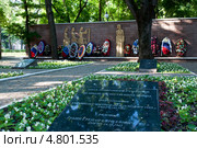 Воинский некрополь в детском парке «Орленок», город Воронеж (2013 год). Редакционное фото, фотограф Вячеслав Палес / Фотобанк Лори