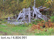 Свалка деревянных заборов в лесу. Стоковое фото, фотограф Анатолий Матвейчук / Фотобанк Лори