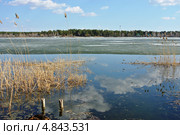 Озеро Большое Островное. Алтайский край. Стоковое фото, фотограф Free Wind / Фотобанк Лори