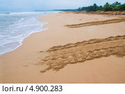 След на песчаном берегу океана, оставленный кожистой морской черепахой (Dermochelys coriacea). Место где она вышла на берег и место, где она обратно вернулась в океан. Стоковое фото, фотограф Ирина Кожемякина / Фотобанк Лори