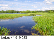 Природа Селигера. Озеро Вселуг, Тверская область. Стоковое фото, фотограф Елена Коромыслова / Фотобанк Лори