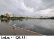 "Гольяновский" пруд, район Гольяново, Москва (2013 год). Редакционное фото, фотограф lana1501 / Фотобанк Лори
