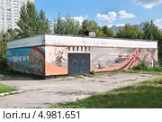 Граффити на ЦТП (2013 год). Редакционное фото, фотограф Алёшина Оксана / Фотобанк Лори