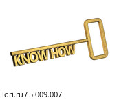 Золотой ключ с надписью know how. Стоковая иллюстрация, иллюстратор Данила Большаков / Фотобанк Лори