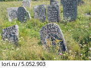 Старое еврейское кладбище в Сатанове (Хмельницкая обл., Украина) (2013 год). Редакционное фото, фотограф Онищенко Виктор / Фотобанк Лори