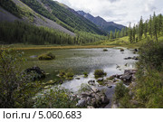 Алтай. Долина реки Шавла. Стоковое фото, фотограф Gagara / Фотобанк Лори