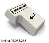 Лицензирование. Клавиша "Ввод" клавиатуры. Стоковая иллюстрация, иллюстратор WalDeMarus / Фотобанк Лори