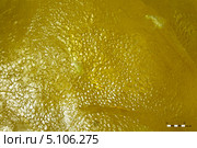 Фрагмент кристалла серы самородной из Водинского месторождения. Стоковое фото, фотограф Варенов Дмитрий Владимирович / Фотобанк Лори