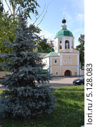 Город Ливны, Орловская область, православный храм (2013 год). Стоковое фото, фотограф Светлана Лебедева / Фотобанк Лори
