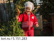 Вот какая морковь. Стоковое фото, фотограф Иван Карпов / Фотобанк Лори