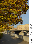 Старые липы на Бережковской набережной (2013 год). Стоковое фото, фотограф Валерия Попова / Фотобанк Лори