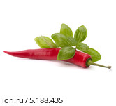 Перец чили и вкусовые травы. Стоковое фото, фотограф Natalja Stotika / Фотобанк Лори