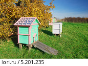 Деревянные улья в осеннем саду. Стоковое фото, фотограф Андрей Ежов / Фотобанк Лори