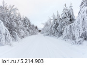 Занесенная снегом проселочная дорога. Стоковое фото, фотограф Кекяляйнен Андрей / Фотобанк Лори