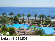 Египет, Красное море. Ландшафтный дизайн. Шарм-эш-Шейх (Sharm-El-Sheikh). Отель "Роял Гранд Шарм" (2013 год). Редакционное фото, фотограф Несинов Олег / Фотобанк Лори