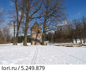 Павловск. Пиль-башня и Пильбашенный мост зимой (2013 год). Редакционное фото, фотограф Ирина Борсученко / Фотобанк Лори
