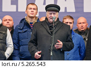 Выступление депутата Государственной Думы и лидера фракции ЛДПР Владимира Жириновского (2013 год). Редакционное фото, фотограф Алёшина Оксана / Фотобанк Лори
