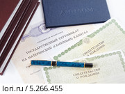 Использование средств материнского капитала для оплаты обучения ребенка. Стоковое фото, фотограф Галина Михалишина / Фотобанк Лори
