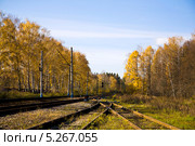 Рельсы сходятся и уходят вдаль на фоне осенних деревьев. Стоковое фото, фотограф Елена Преображенская / Фотобанк Лори