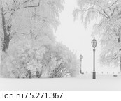 Зимний пейзаж с фонарём. Санкт-Петербург. Заячий остров (2010 год). Стоковое фото, фотограф Людмила Жмурина / Фотобанк Лори