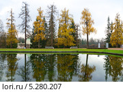 Осенний пейзаж в Царском селе (2013 год). Редакционное фото, фотограф Елена Коромыслова / Фотобанк Лори