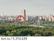 Вид на город и Живописный мост с Крылатских холмов (2012 год). Редакционное фото, фотограф Алёшина Оксана / Фотобанк Лори