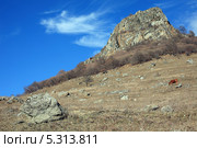 Осень в горах. Стоковое фото, фотограф Игорь Веснинов / Фотобанк Лори