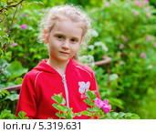 Красивая девочка среди кустов шиповника. Стоковое фото, фотограф Игорь Низов / Фотобанк Лори