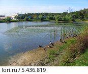 Вид на Бабаевский пруд ранней осенью, район Гольяново, Москва (2011 год). Редакционное фото, фотограф lana1501 / Фотобанк Лори