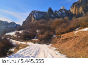 Дорога к церкви. Стоковое фото, фотограф александр жарников / Фотобанк Лори
