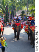 Катание на слонах. Тропический парк Нонг Нуч (Nong Nooch Tropical Garden), Королевство Таиланд (2013 год). Редакционное фото, фотограф Григорий Писоцкий / Фотобанк Лори