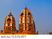 Дели. Храм Международного Общества сознания Кришны (ISKCON) (2014 год). Стоковое фото, фотограф Вячеслав Беляев / Фотобанк Лори