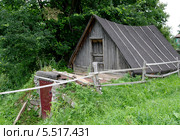 Амбар с крышей, покрытой толем (2013 год). Стоковое фото, фотограф Илюхина Наталья / Фотобанк Лори