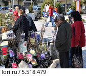 Выставка-продажа саженцев плодовых и ягодных культур весной (2012 год). Редакционное фото, фотограф Анна Мартынова / Фотобанк Лори