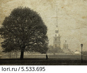 Вид на Петропавловскую крепость, под старину (2011 год). Стоковое фото, фотограф Корнилова Светлана / Фотобанк Лори