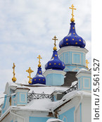 Екатеринбург. Купола Иоанно-Предтеченского кафедрального Собора (2013 год). Стоковое фото, фотограф Александр Тараканов / Фотобанк Лори