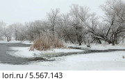 Зимний пейзаж, река Крынка, Украина. Стоковое видео, видеограф Артем Поваров / Фотобанк Лори