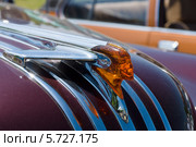 Эмблема ретро-автомобиля Pontiac Star Chief, «Олдтаймер шоу» в MAFZ, 19 мая 2013 г. в Paaren im Glien, Германия. Редакционное фото, фотограф Sergey Kohl / Фотобанк Лори